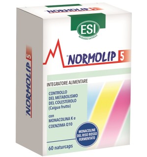 NORMOLIP 5 60CPS OFS 