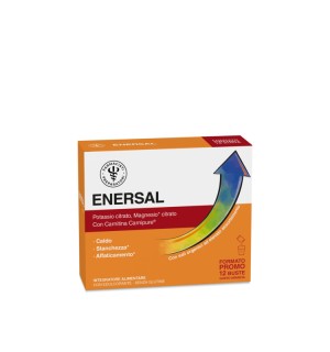 LFP PRO ENERSAL 12BUST